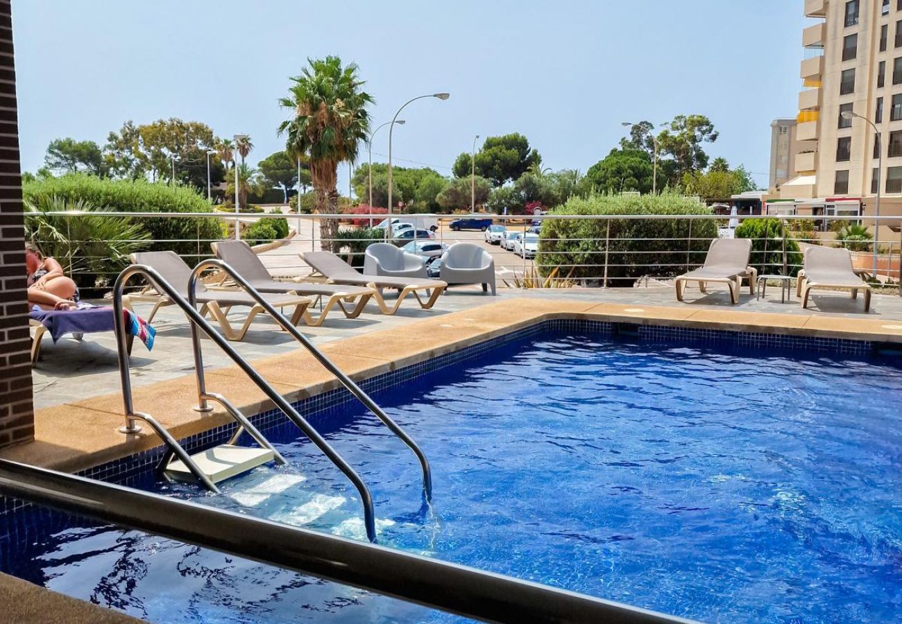 piscina comunitaria dentro del mismo edificio.